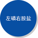 新產(chǎn)品